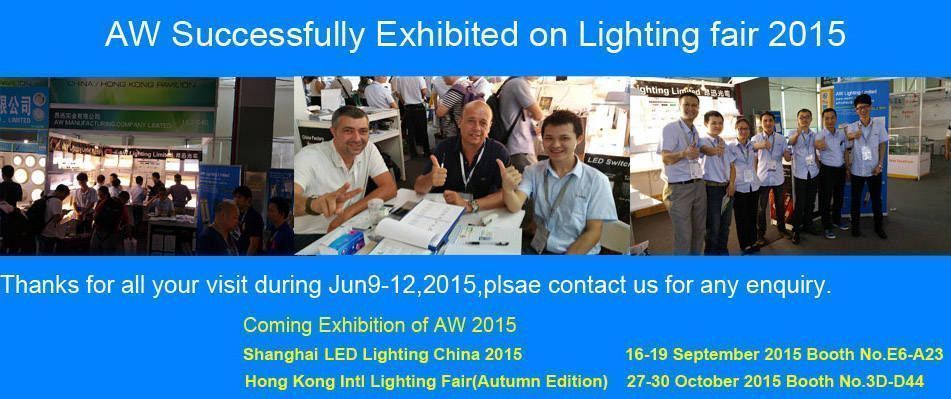 June 2015 LED light fair in GuangZhou